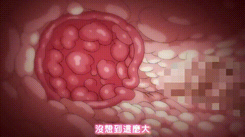 妹ぱらだいす_3_The_Animation_下巻_中文字幕妹天堂 _动漫__p60.gif