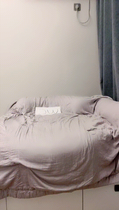 vlc_record_2023_05_15_13h51m16s_cx___p80.gif