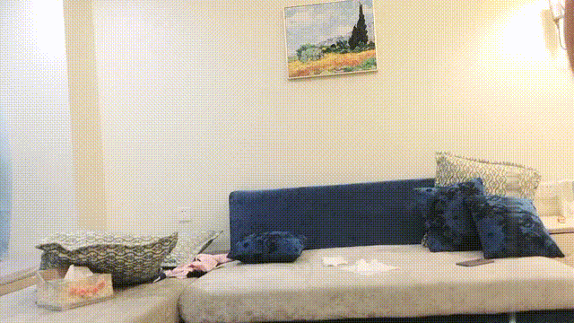 1 (5).gif