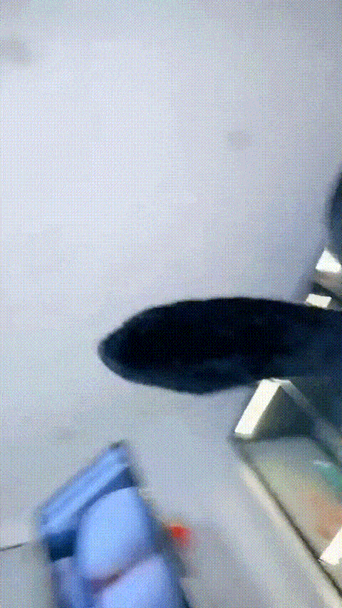 半糖   缝上都不给你  诱人的小妖精 -1 (3)_p80 (2).gif