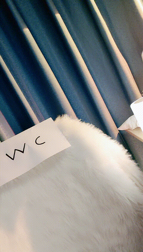 vlc_record_2023_06_14_22h59m54s_cx___p80.gif