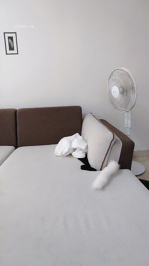218950836_ 0606-090204-972_ 0606-090206-065_p40.gif