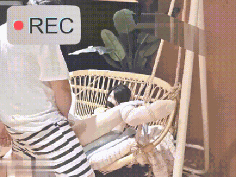 1-5a111e06930fd7a18.gif
