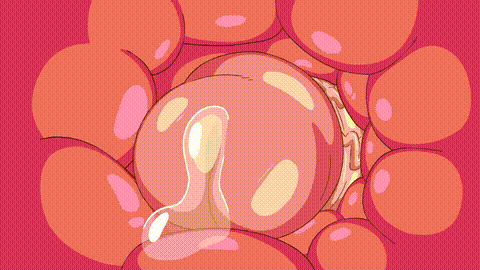 [Hard-Degenerate] Dragon Maid animation! i_p60.gif