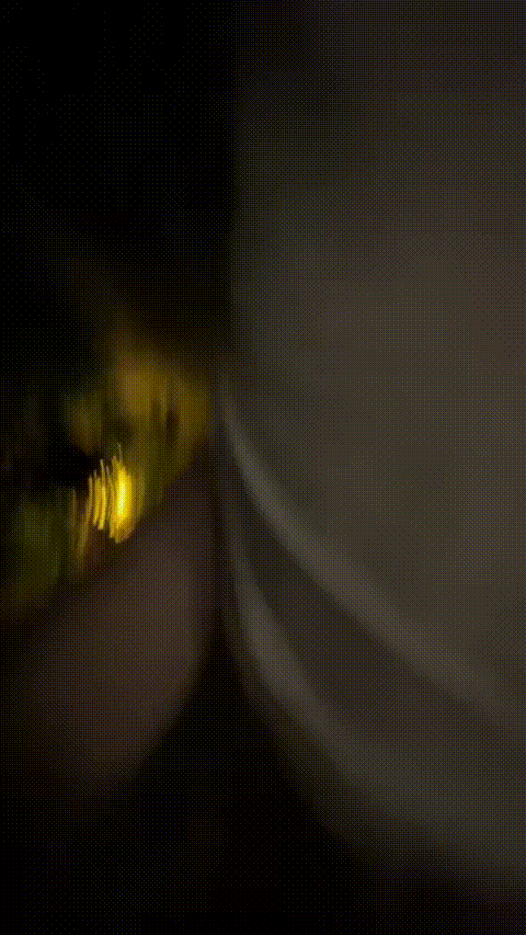 1 (31)_p60_compressed.gif