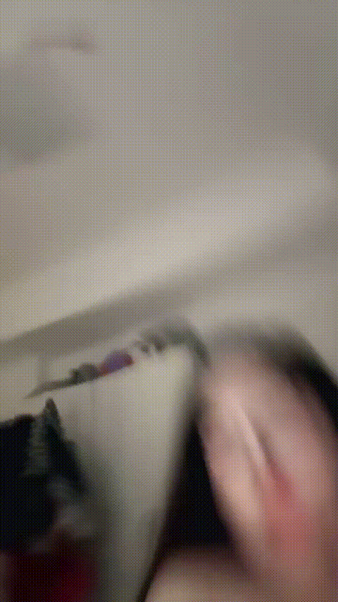 熊熊饼干_20260303_082823_p40.gif