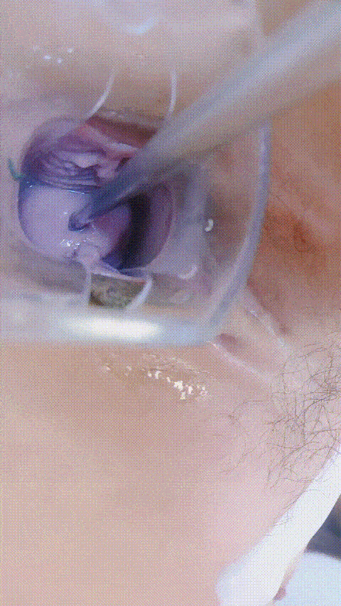 主播_ 波多老师_ 美肌美女_道具自慰_ 美乳_7_p20 (2).gif