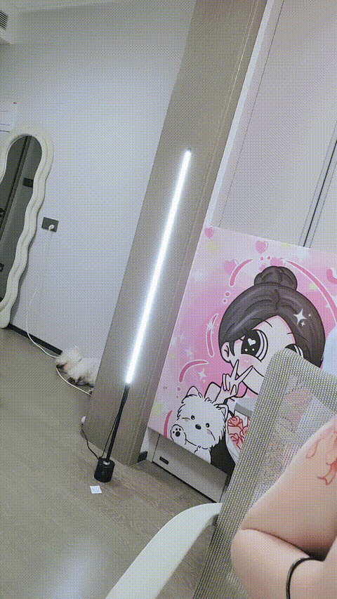 观山月_20260215_143740_p60.gif