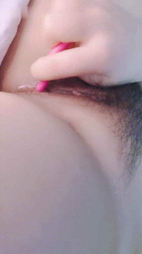 苹果柿子梨_20260209_001348_p60_compressed.gif