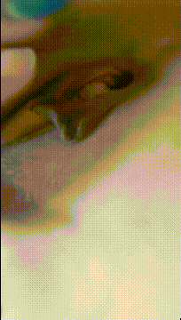 1 (8)_compressed.gif