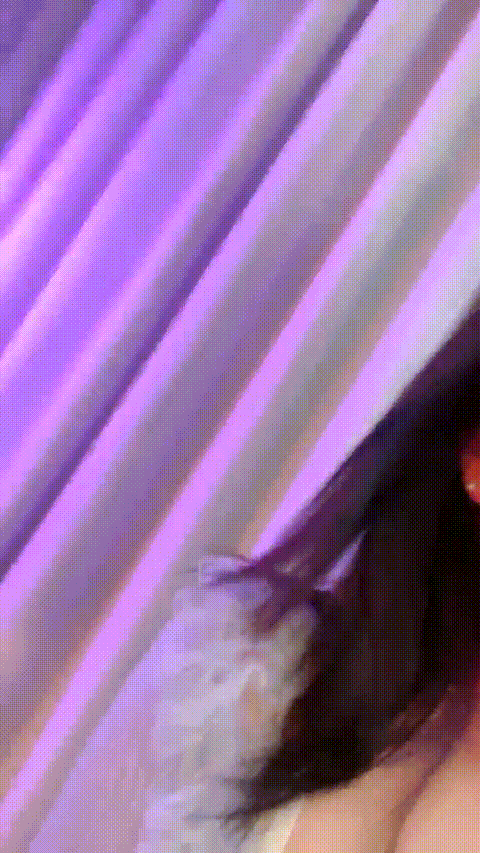 马里布 (13)_p40_compressed.gif