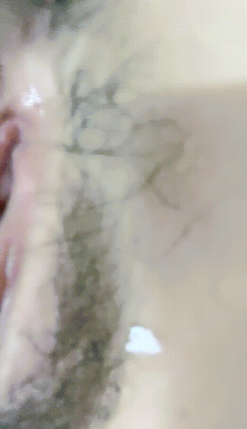 #小甜甜的味道____7so90_p40_compressed_compressed.gif