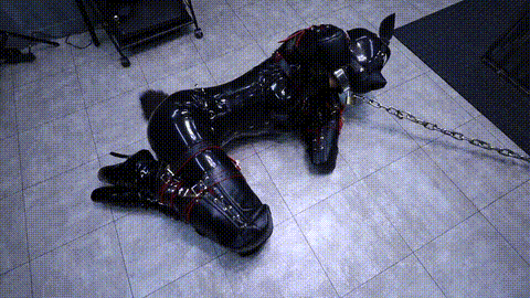 Lemon  Z息  胶衣 揉胸  捆绑  调教  束缚  绳艺  SM27_p40.gif