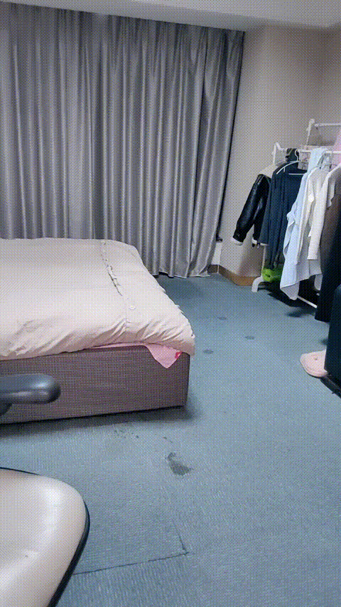 19do8v_p20.gif