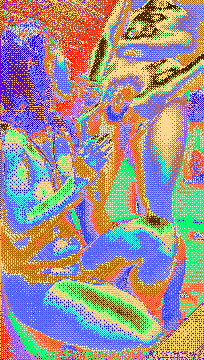 h1302_compressed.gif