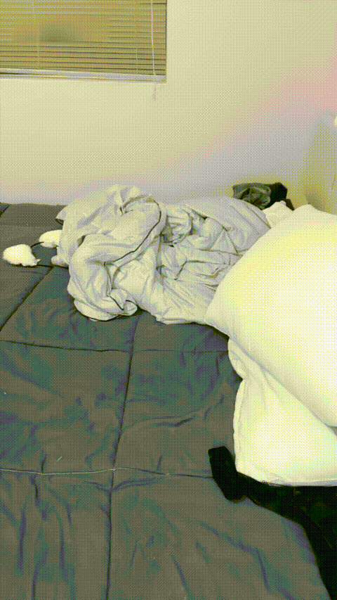 小可哟_20260227_120700_p80.gif