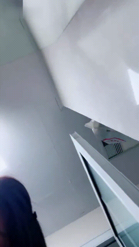 一只然_20260213_133055_p60.gif
