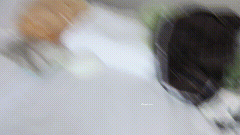2_p40.gif
