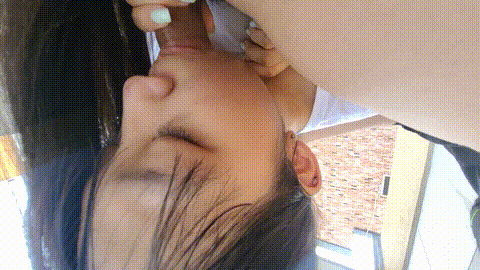 4_p60.gif