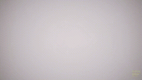 [Anryms4c41] 刺玫會入職檢查 Visita di Rosula [中文配音] i_p60.gif