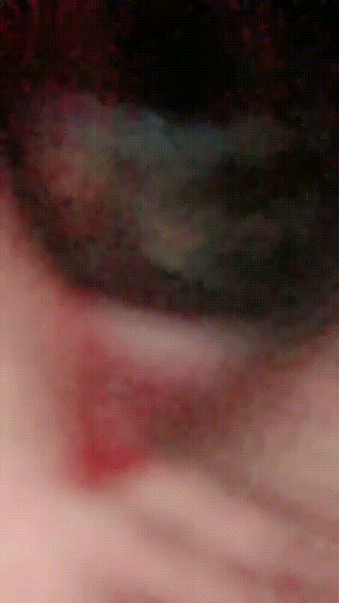 小萝莉尕尕_呆呆萝_20260212_115307_p80_compressed.gif