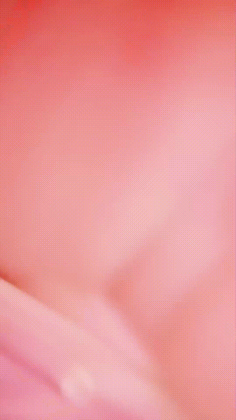 小池抚月_20260212_115645_p80_compressed.gif