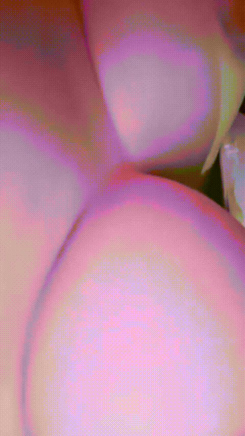 井川里予_20260209_141733_p60.gif