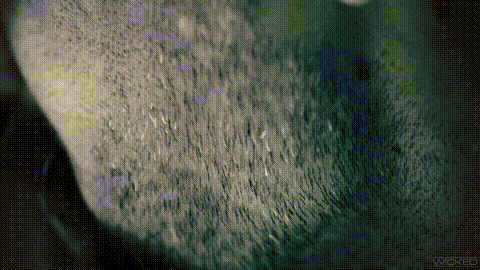 Deranged - Scene 1_p5.gif