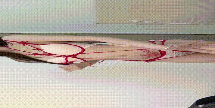 1 (14).gif