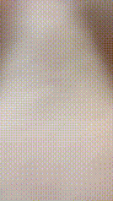 1 (5)_compressed.gif