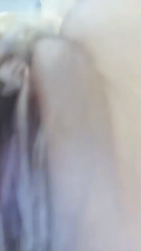 卜诗雅_20260213_100149_p80_compressed.gif