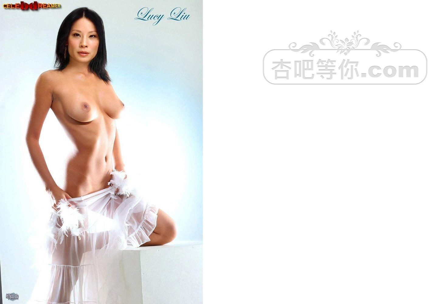 1e0c0a8837570d10ce15d5495cb00261_photo-Lucy-Liu-Fake-0ea2f5-0.jpg