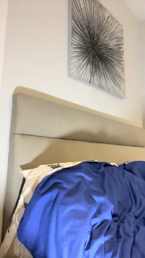 VID_20230911_175020_871_p80.gif