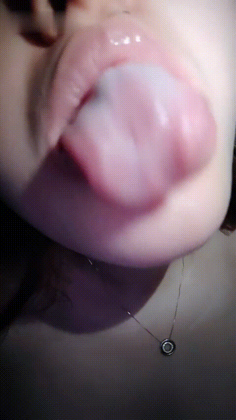 小乖_20260214_104041_p80_compressed.gif