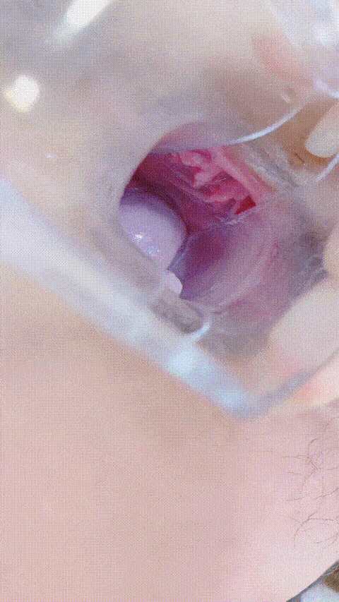 #主播_#波多老师_#美肌美女_道具自慰_#美乳_8_p80 (2).gif