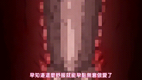 OVA_ネトカノ_[中文字幕]_p60.gif