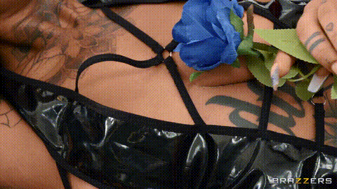 Pussy In Bloom_p5.gif