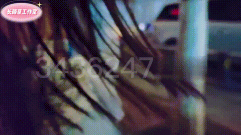 长颜草 捆绑  调教  绳艺  束缚  足控38-16_p60.gif