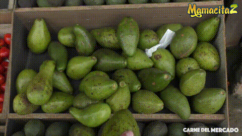 Carne Del Mercado Picked Up And Fucked By Stranger_p5.gif