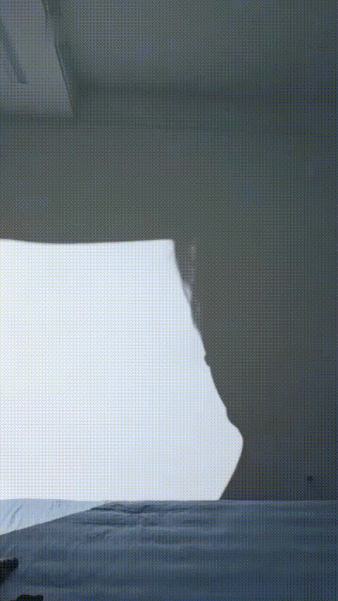 小糖丸_20260220_014427_p60.gif