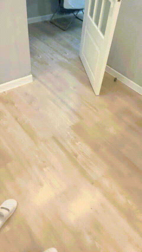 VID_20230831_201237_680_p5_compressed.gif