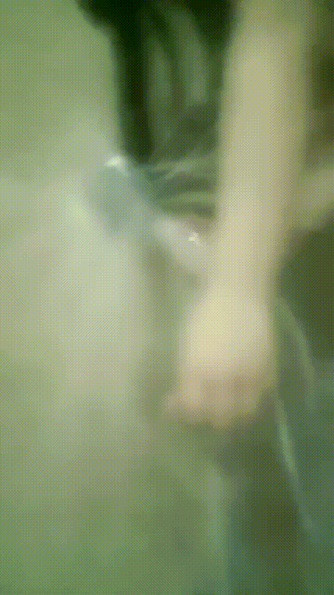 成年妹妹__4_1_p20_compressed.gif