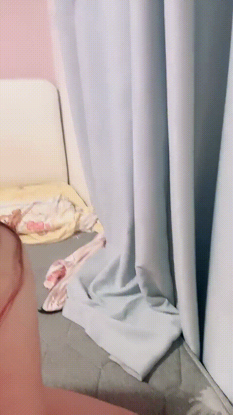 昭昭ovo_20260207_145056_p80_compressed.gif