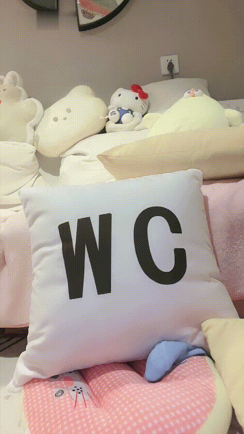 奶啵啵儿_20260217_160119_p60.gif