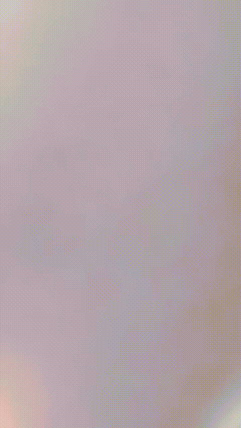 苹果柿子梨_20260209_001307_p80.gif