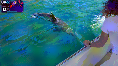 From Boat Romance to Outdoor Creampie Filled Passion_p5.gif