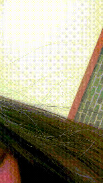 1 (4)_compressed.gif