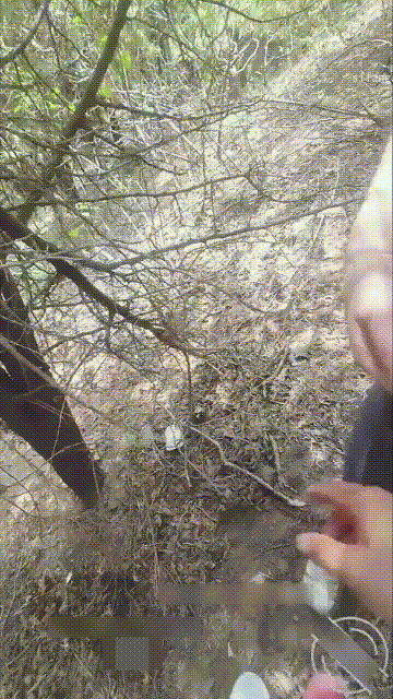 1 (4)_compressed.gif