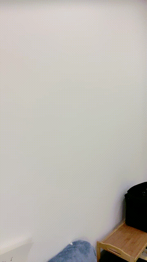 #兔兔宝