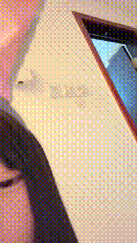 07小狗 714580674_ 1227-012843 01_36_25-_p80.gif